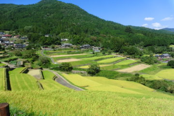 坂折棚田 え な恵那 岐阜県恵那市観光サイト 一般社団法人恵那市観光協会