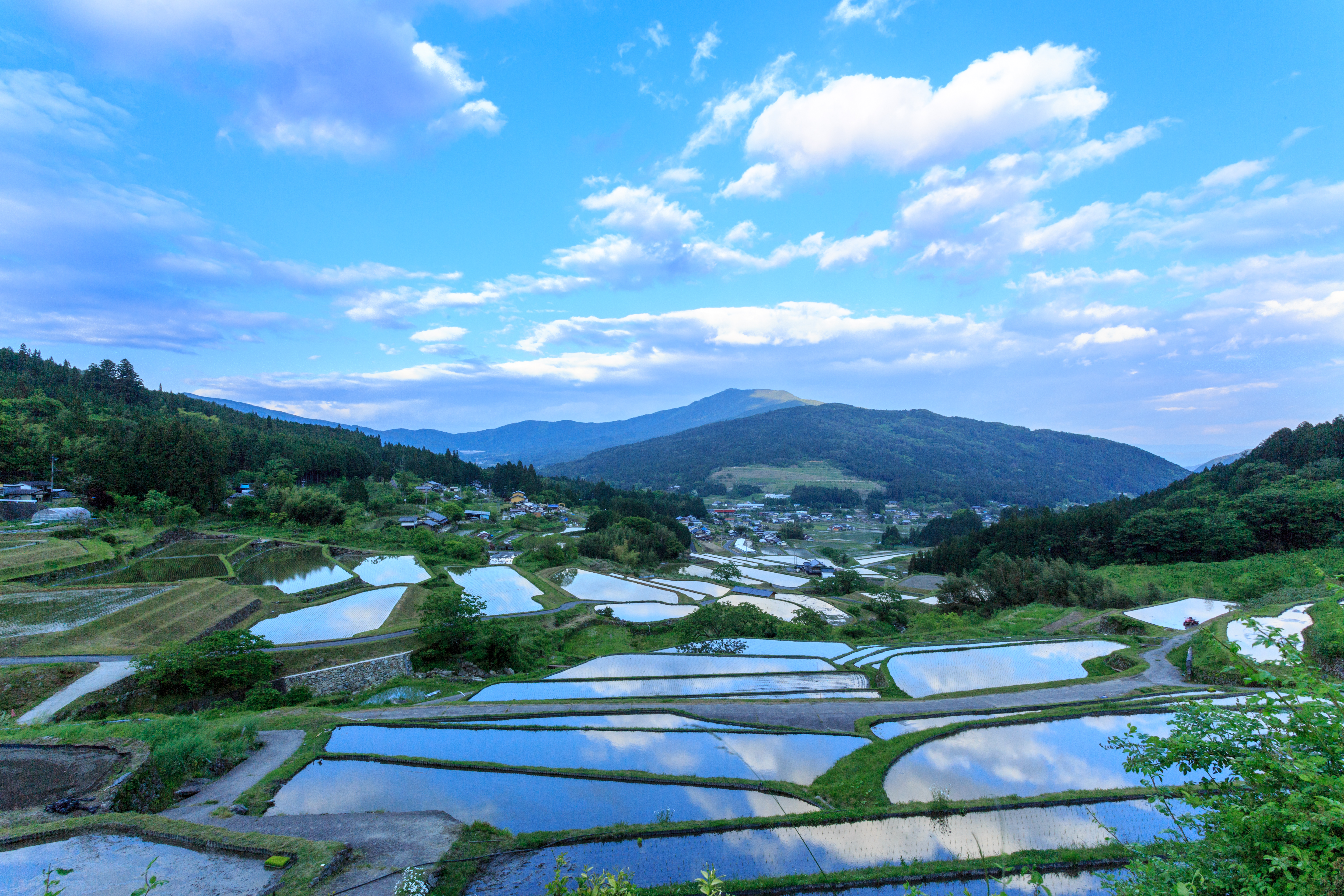 水を湛える田植え前