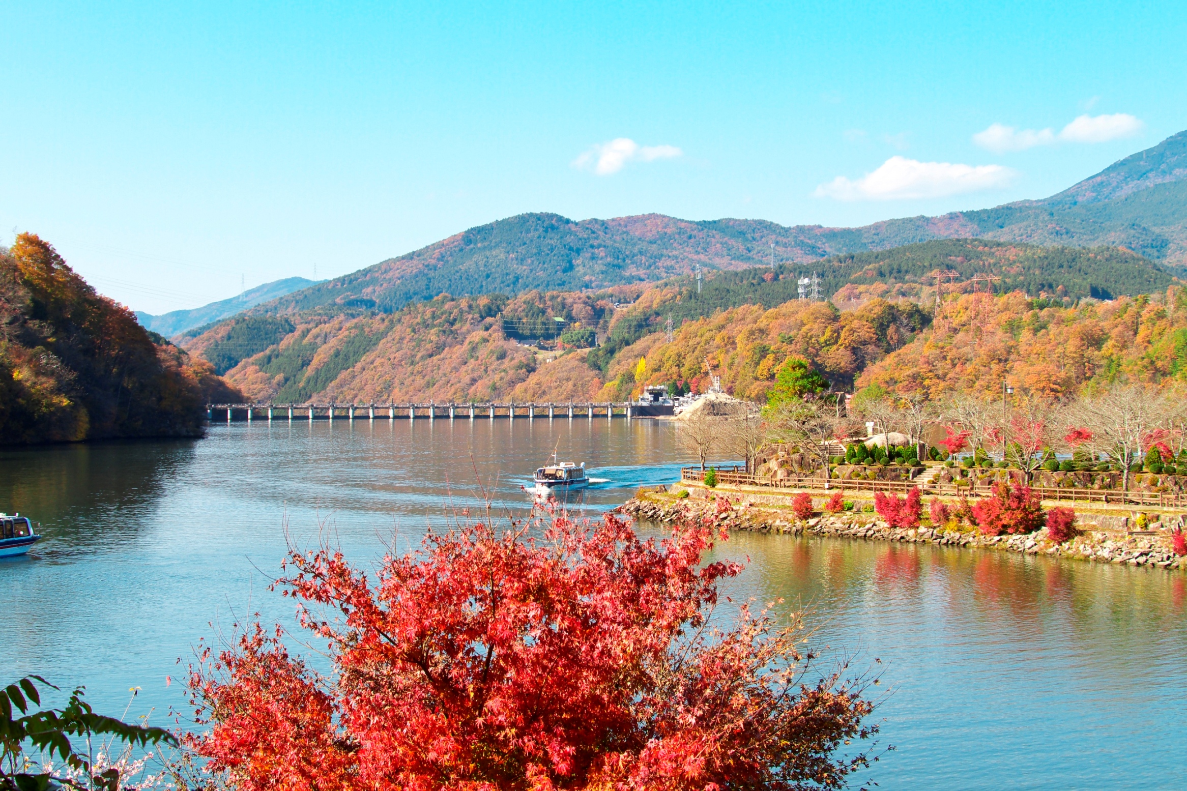 湖面に広がる紅葉を見ながらのクルージング