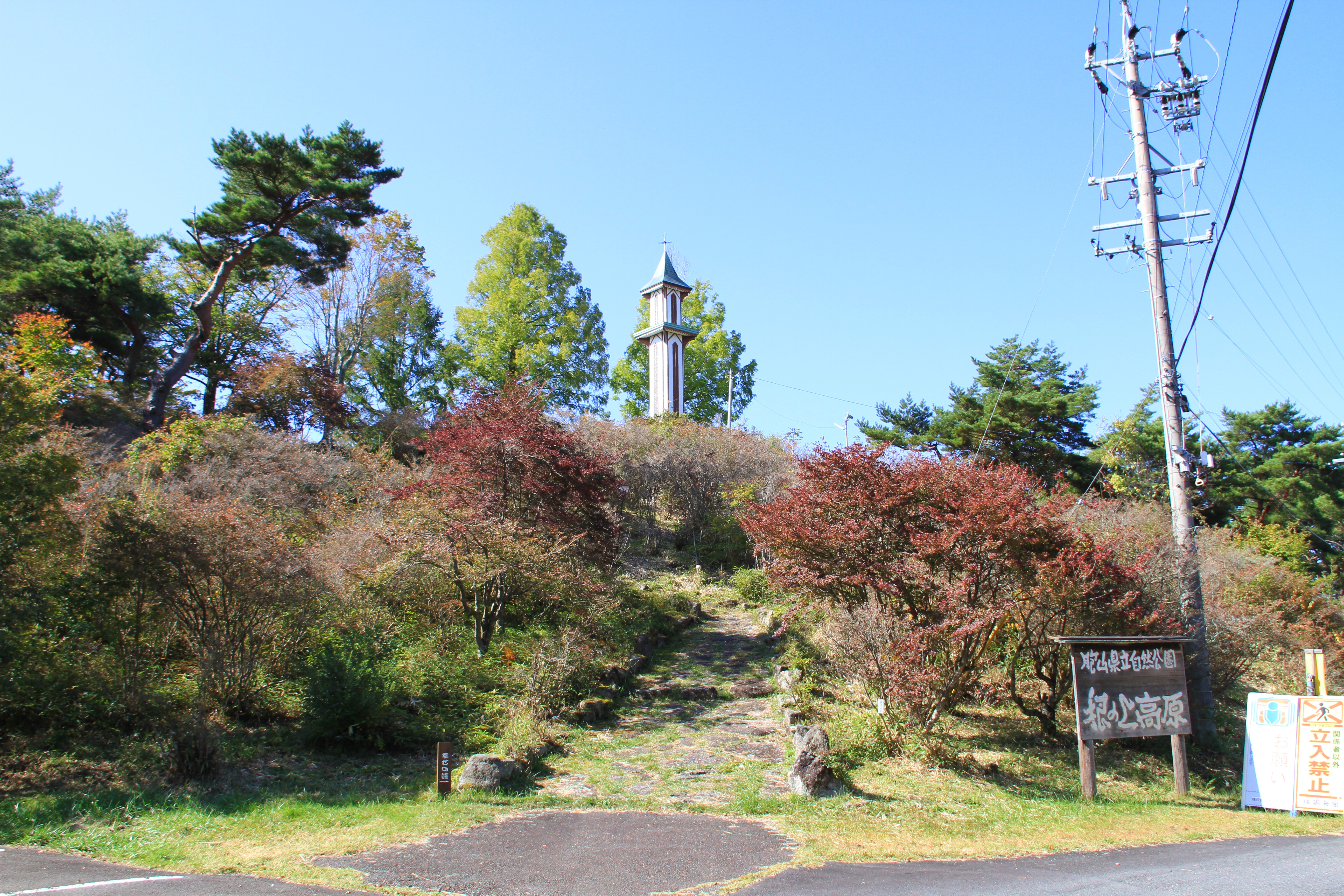 根ノ上高原