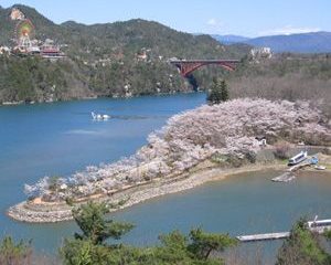 恵那市の桜