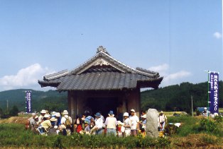 秋のふれあいウォーキング 農村景観日本一