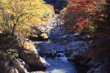 達原渓谷の紅葉