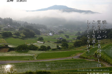 えな笠置山栗園