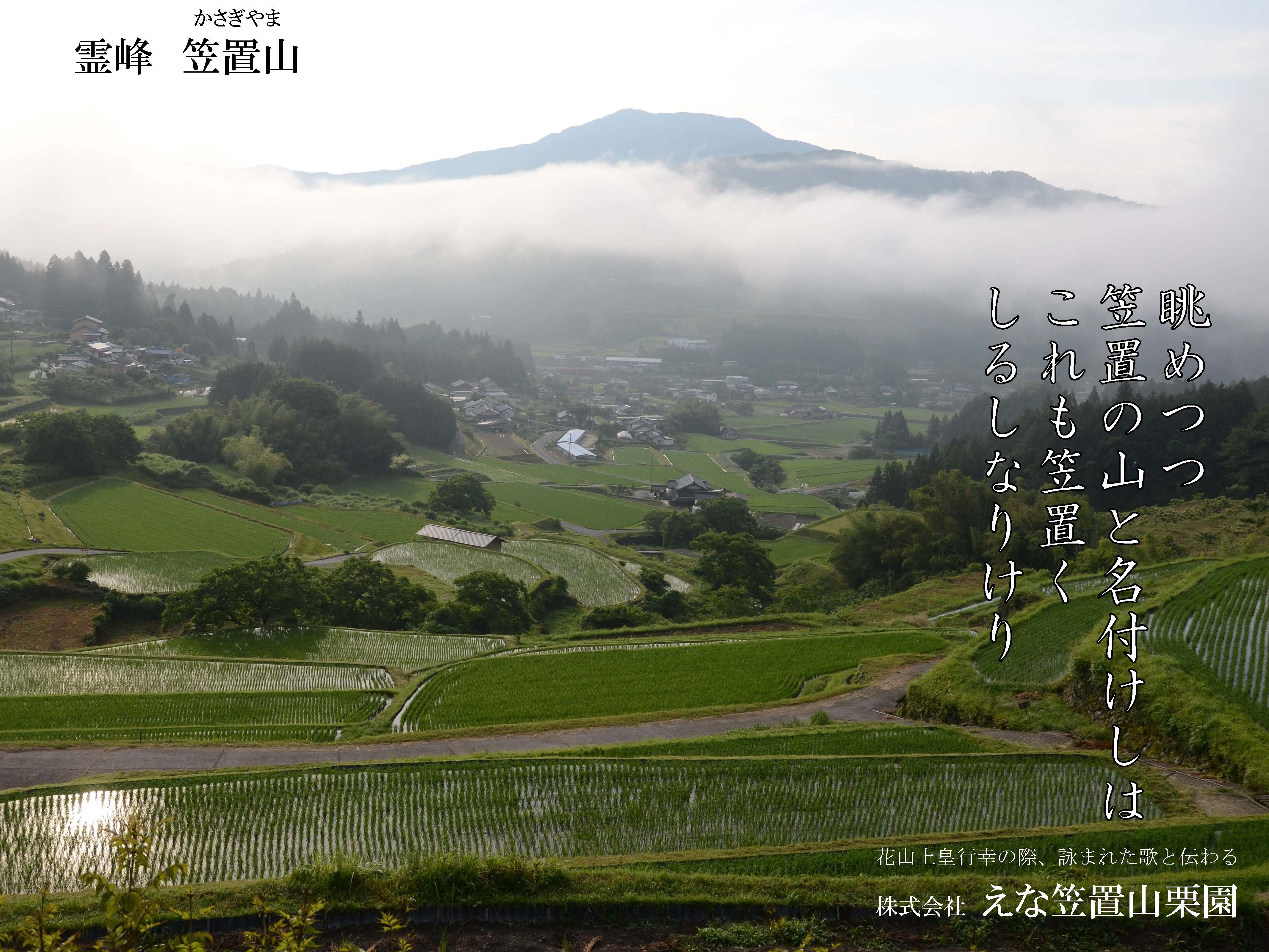 日本の棚田百選「坂折棚田」から眺める霊峰笠置山