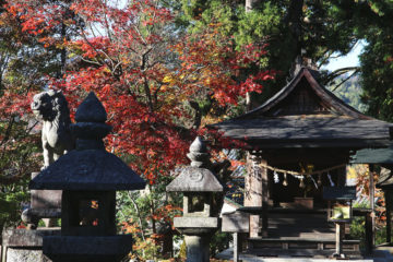 柿本人麻呂社と明智光秀公手植えの楓かえで（八王子神社）