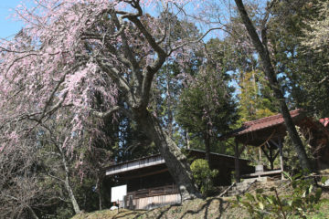 明智光秀公学問所と天神神社