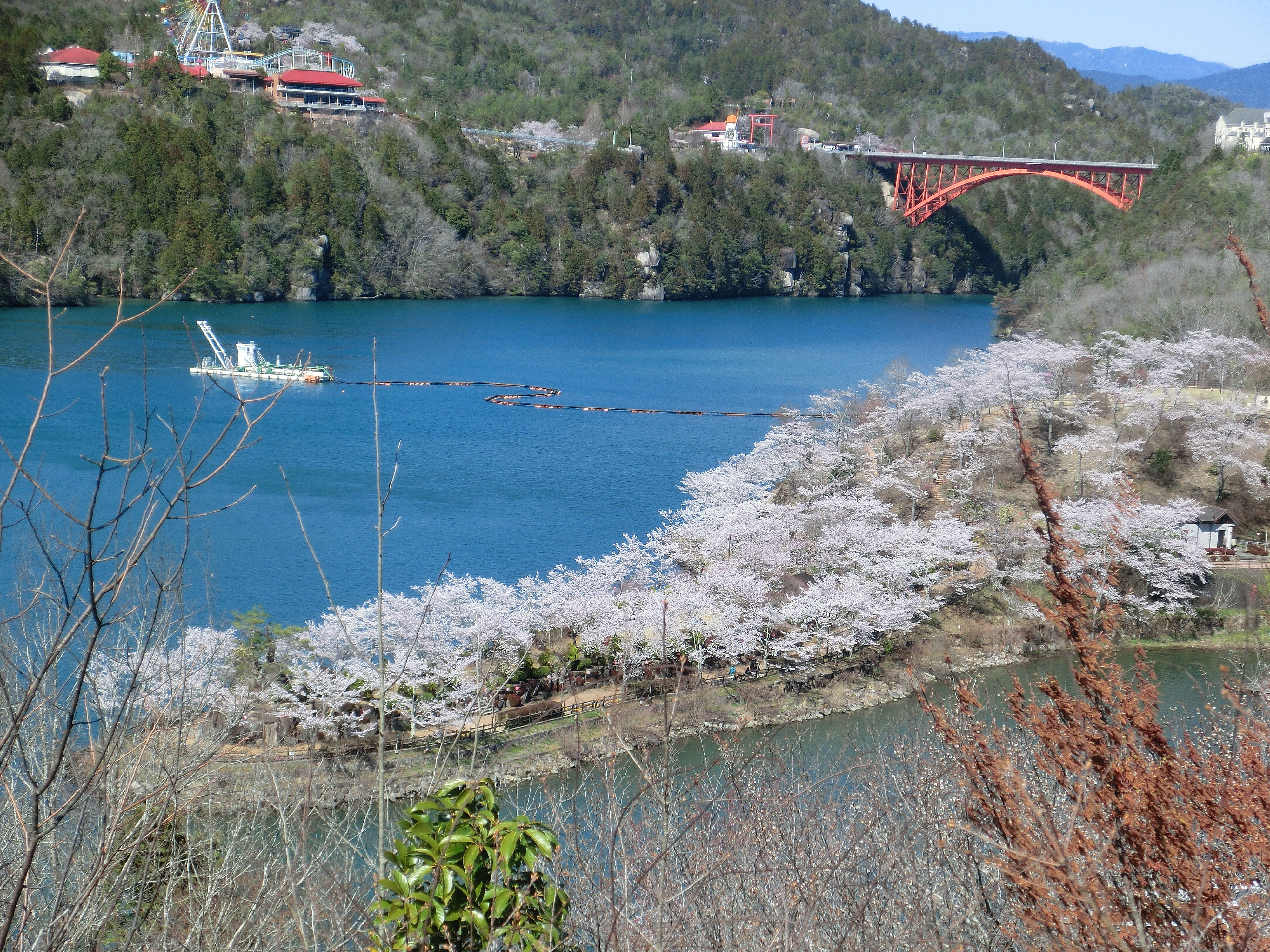 市 岐阜 県 コロナ 恵那