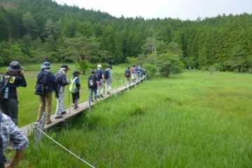 ふるさとの山に挑戦