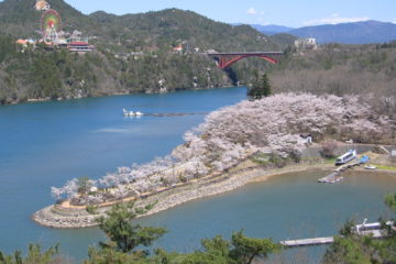 桜の恵那峡