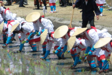 恵奈の里次米お田植え祭
