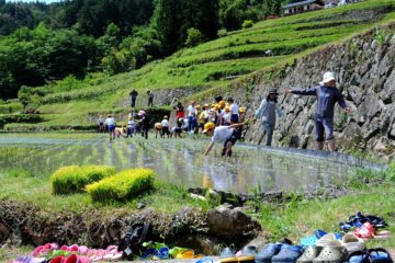 棚田オーナーの田植え　　