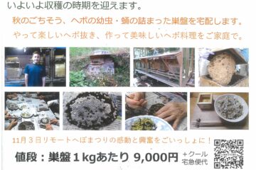 ヘボの生巣販売及び「ヘボまつり」開催のご案内～全国地蜂連合会より～