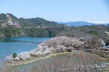 恵那峡さくらまつり