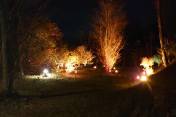 もみじロードライトアップ