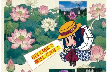 大正村　はす花巡り